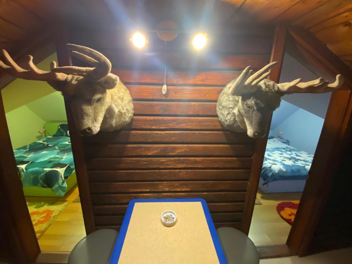 Cabana Cu Teren De Tenis -- Etaj Banita Экстерьер фото