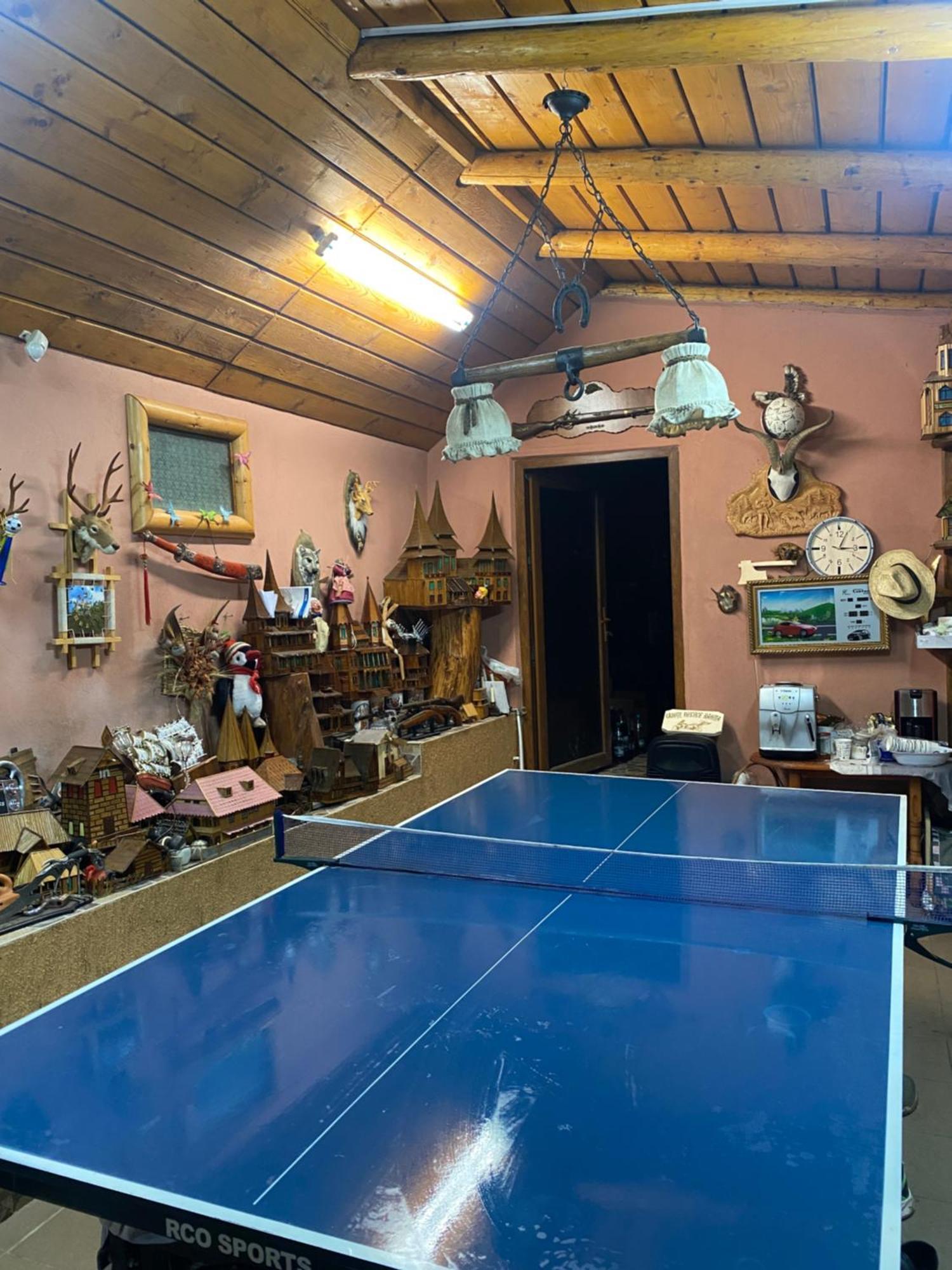 Cabana Cu Teren De Tenis -- Etaj Banita Экстерьер фото